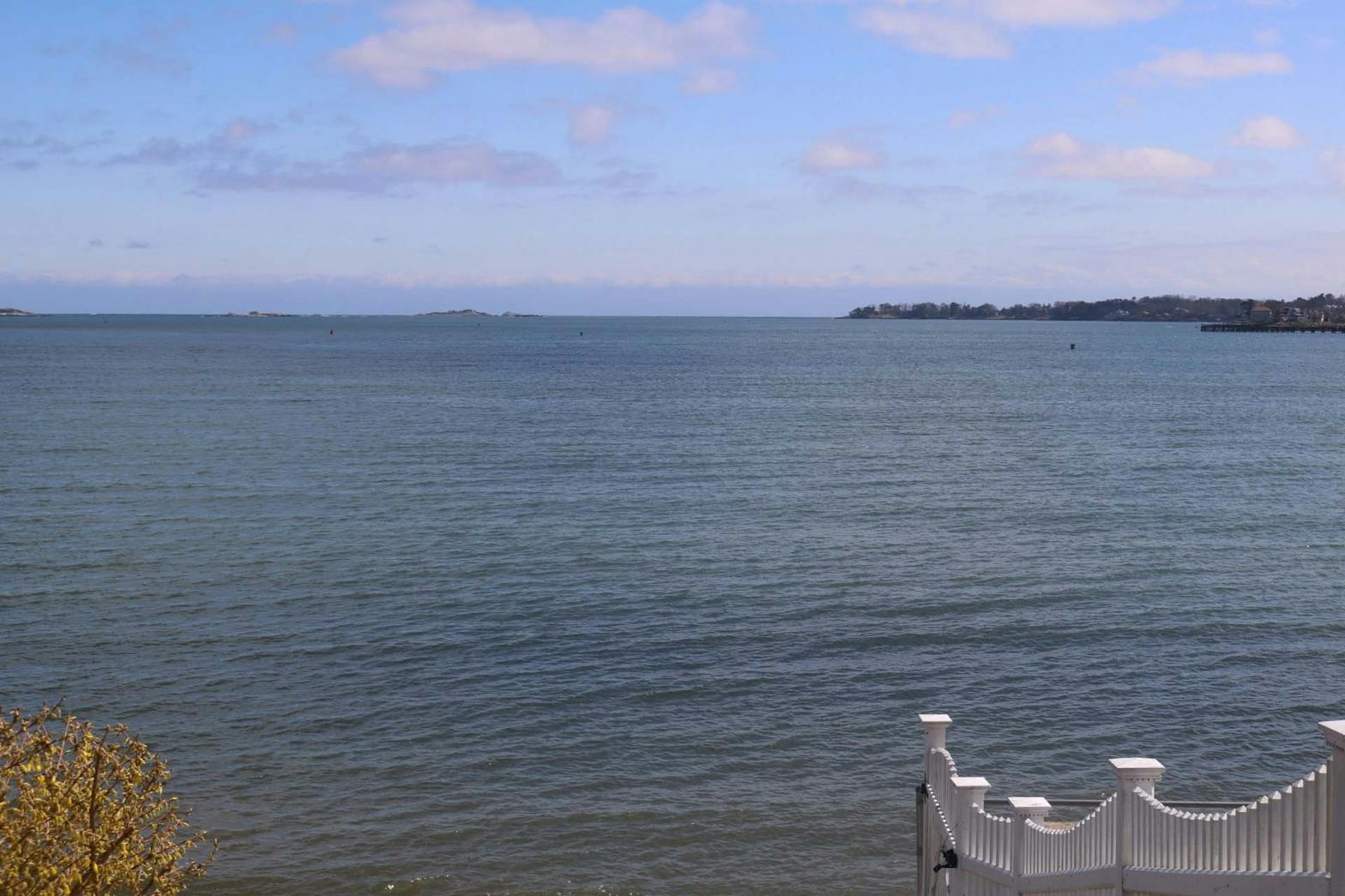 Final Quarantine Photo Essay Sia-Linda Lebbie.jpg