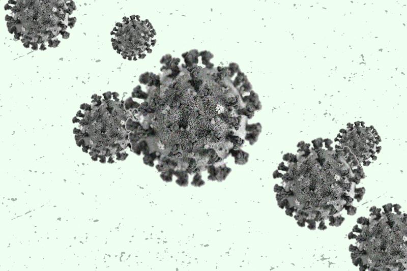 Penn scientists awarded grant to develop portable, odor-based COVID-19 detector - Vimarsana News
