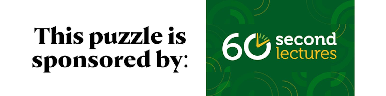 SAS Puzzle Sponsorship.png