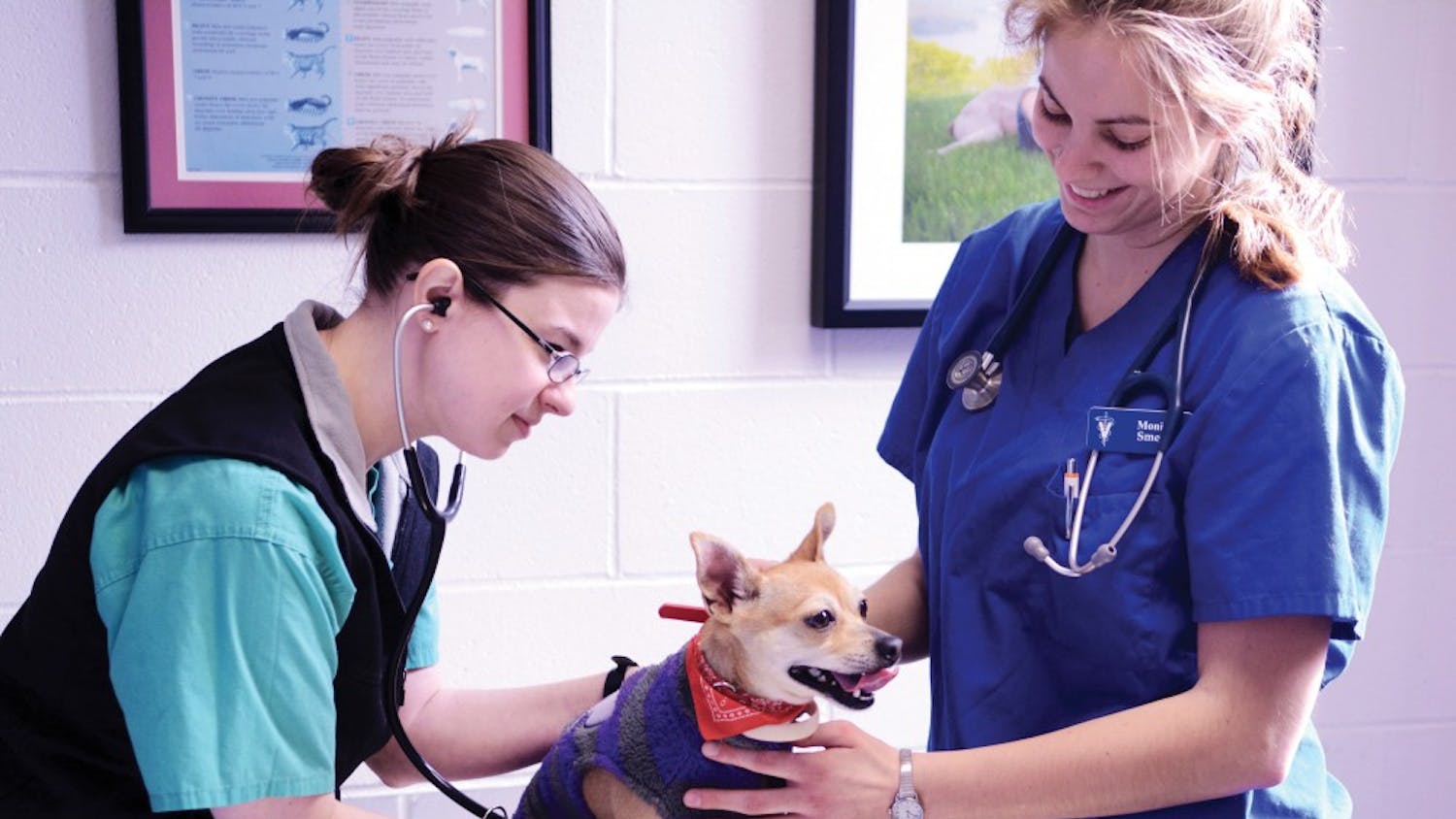 Penn Vet.original.jpg