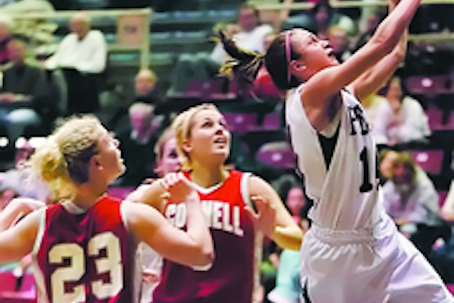 W. Hoops | W. Hoops shows two faces in NY