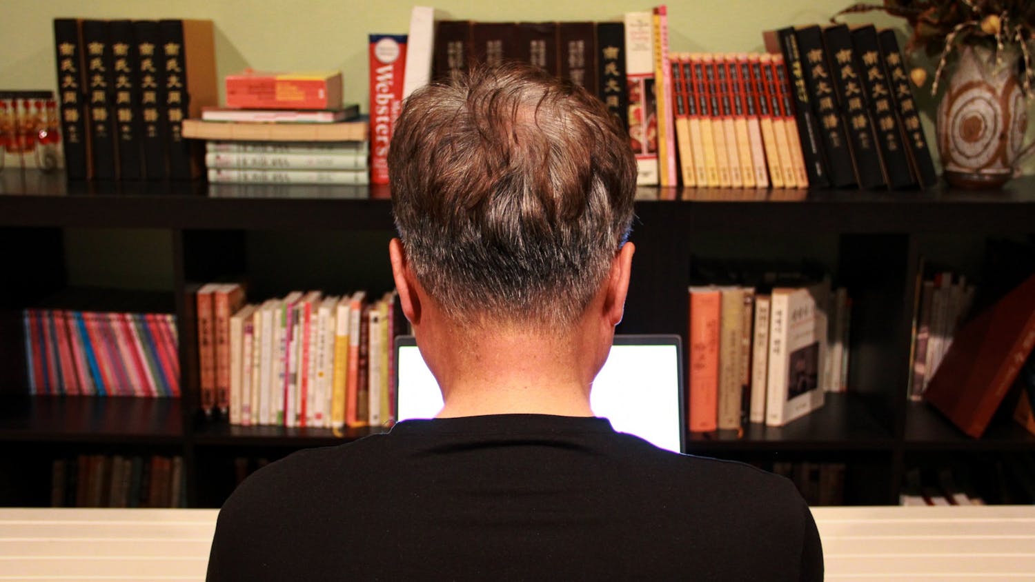 Professor Online Virtual Instruction Teaching Bookshelf.jpg