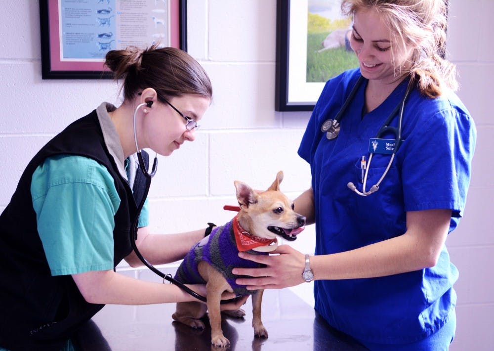 Penn Vet Free Dog & Cat Vaccination Clinic