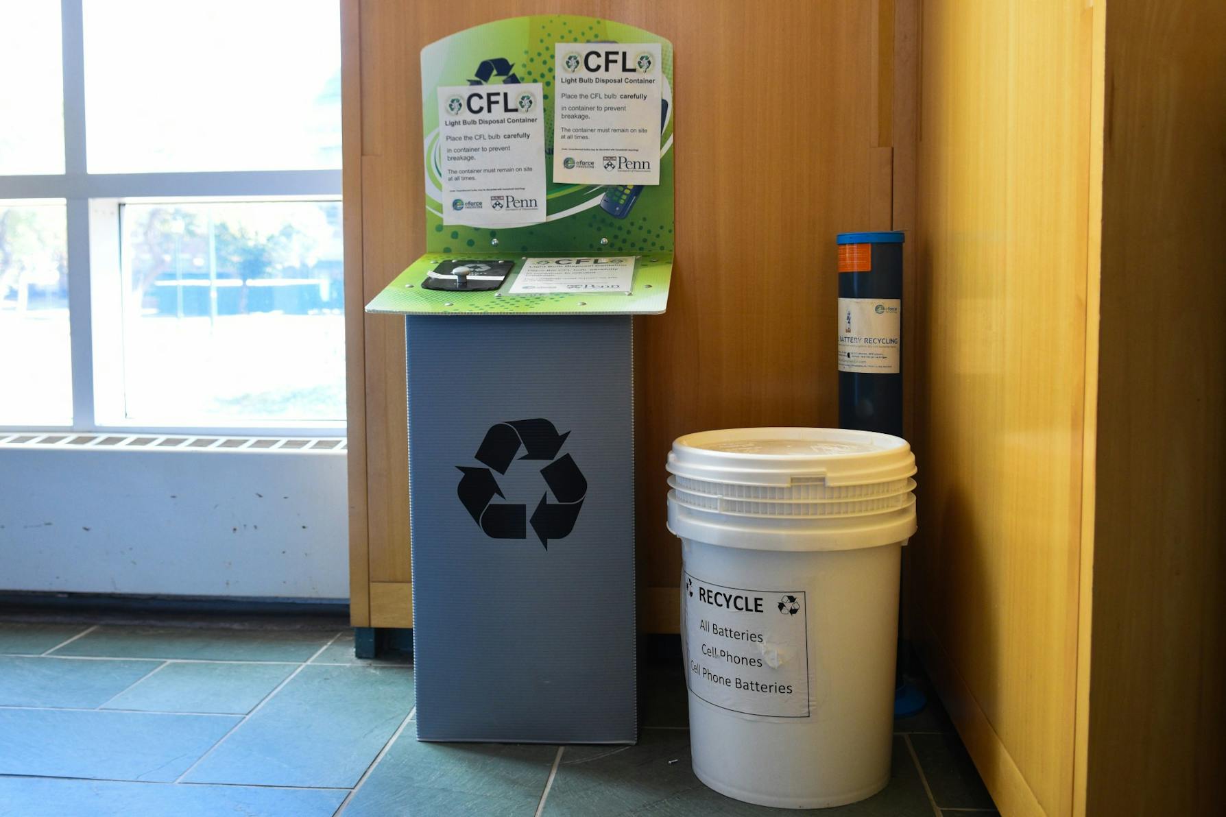 Rodin Battery & Lightbulb Disposal.jpg