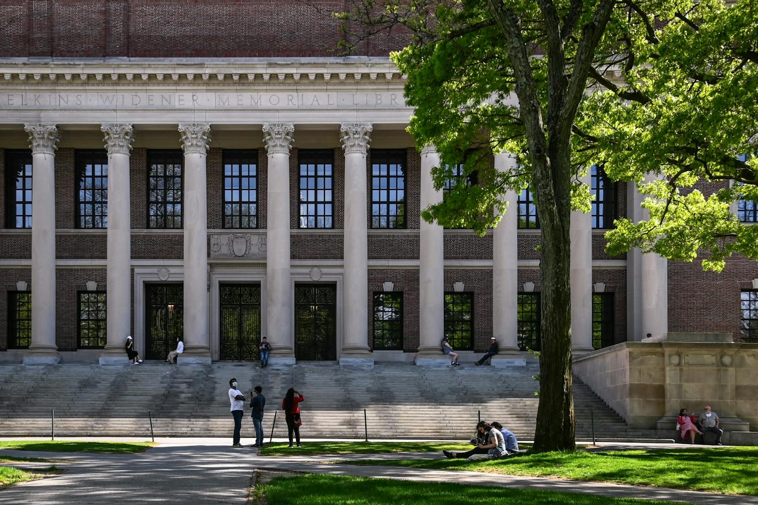Harvard University Campus Empty Ivies FINAL 001.jpg
