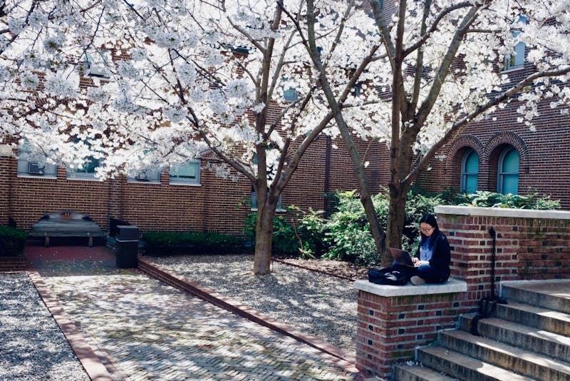 Photo Essay | A tour of the 20 best outdoor study spots on campus