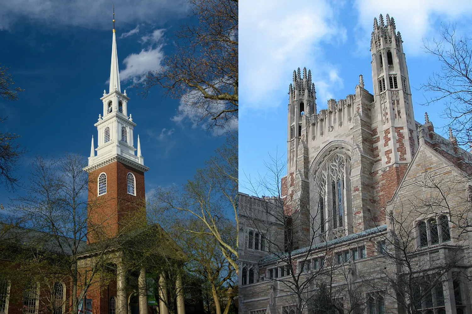 harvard yale foreign donations.jpg