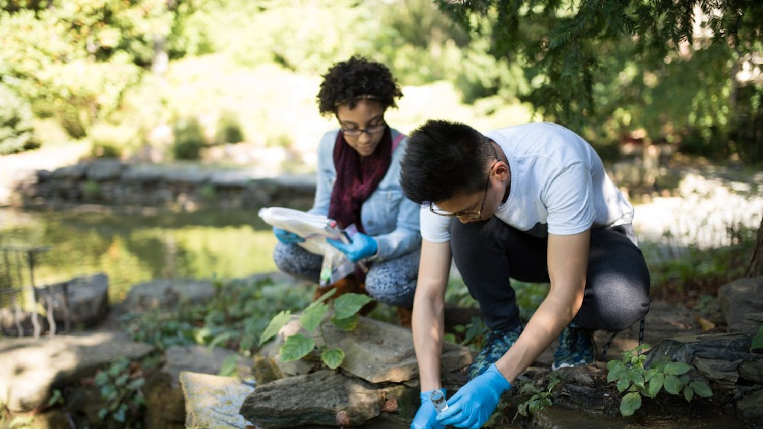Lyndsi Powell and Dan Liu swab the Biopond as a part of a metagenomics lab in Introductory Biology.
