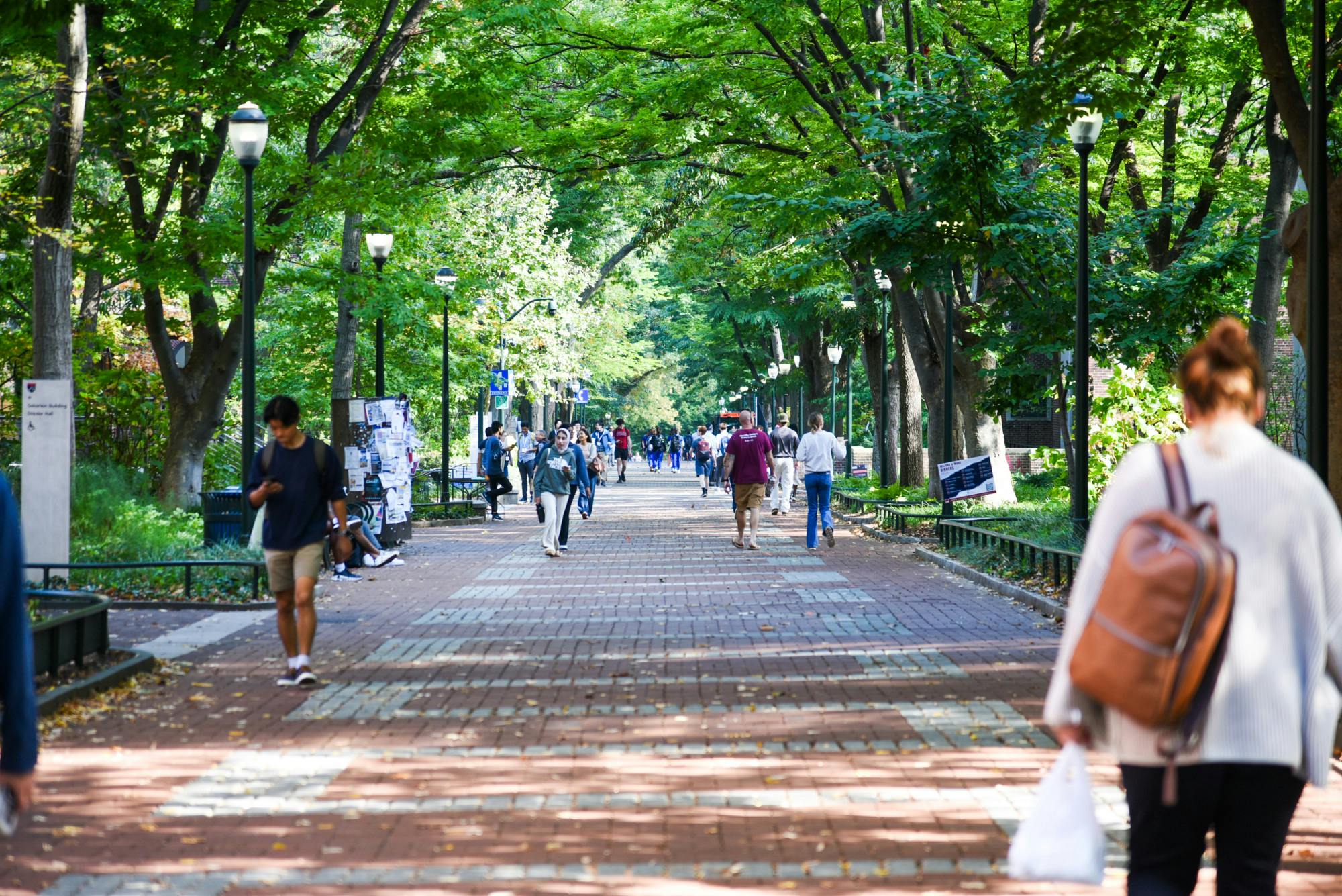 10-07-24 Locust Walk (Chenyao Liu).jpg