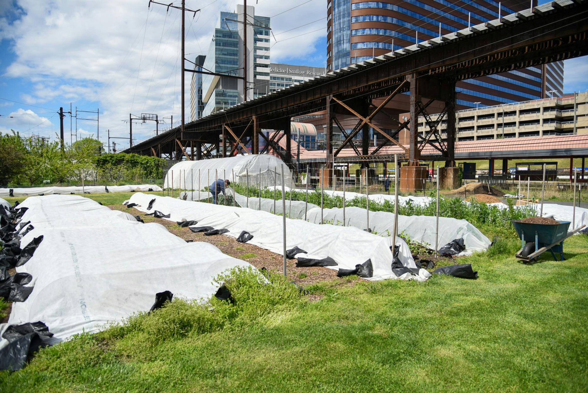 04-24-24 Penn Farm (Chenyao Liu)-10.jpg