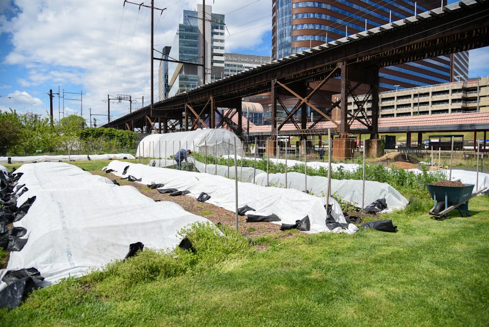 04-24-24 Penn Farm (Chenyao Liu)-10.jpg