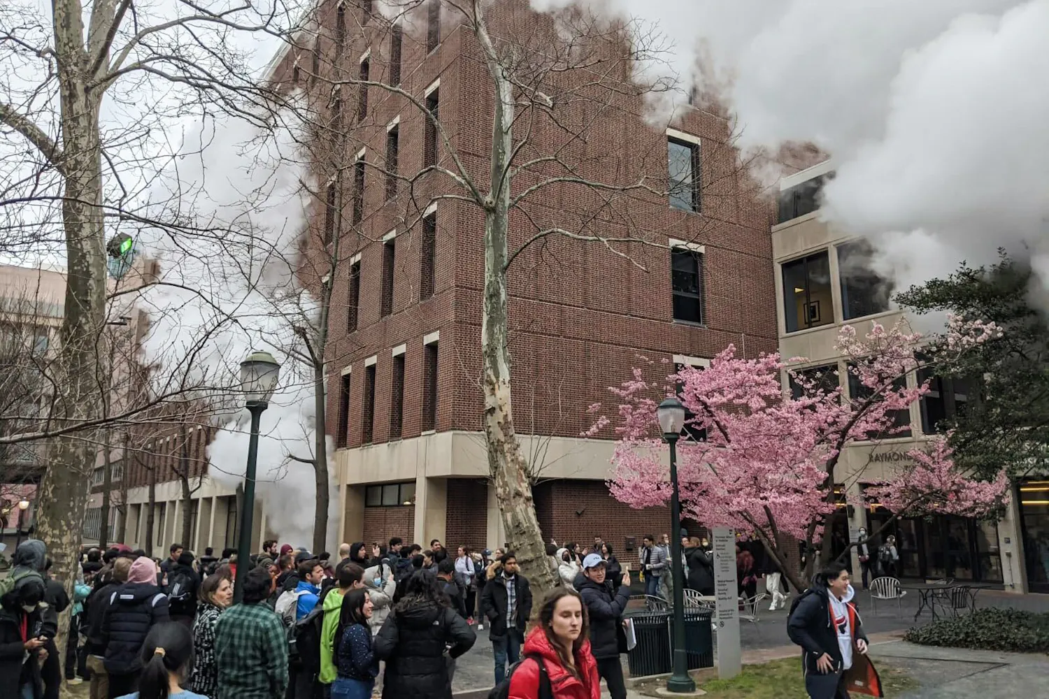 02-27-23 Biotech Commons Smoke (Ana Glassman).jpg