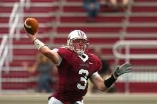 Tigers second Ivy to defeat Leopards