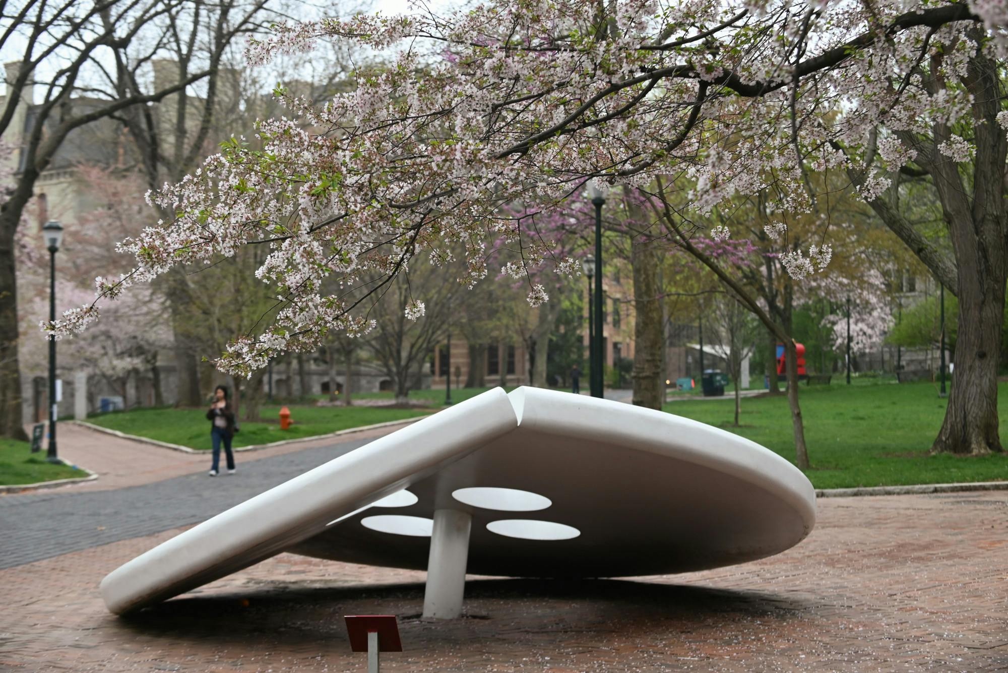 04-06-25 Locust Walk (Connie Zhao).jpg