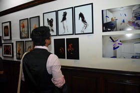 Photography show goes ‘from mild to wild’