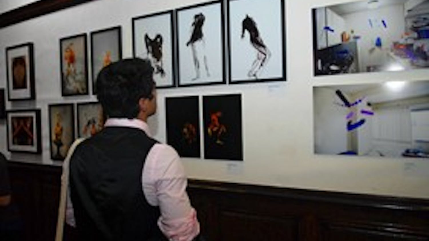 Photography show goes ‘from mild to wild’