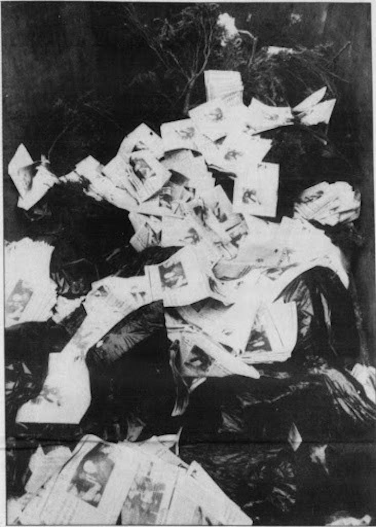 (1993) DP Papers in Dumpsters.jpg