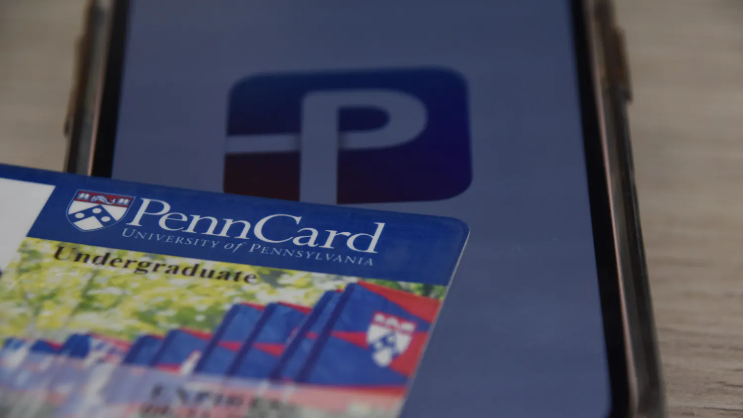 12-08-24 Digital Penn Card (Sydney Curran).jpg