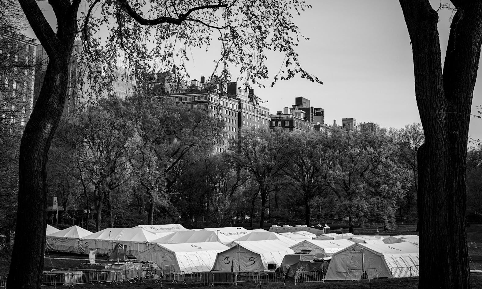 Coronavirus in NYC - by Chase Sutton 009.jpg