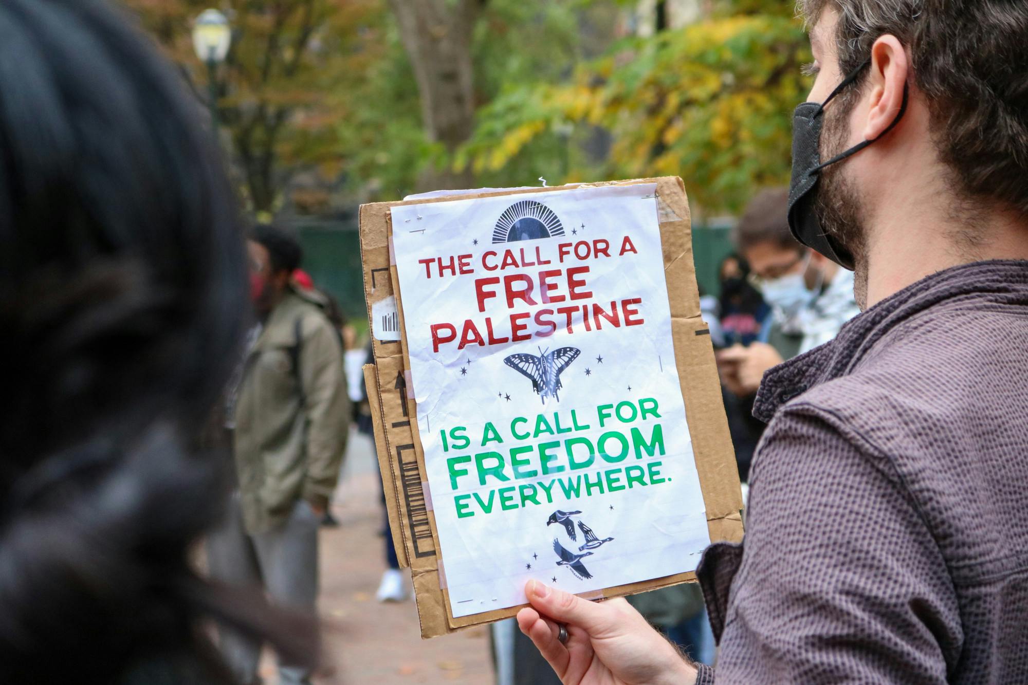 11-09-23 Palestine Rally (Weining Ding).jpg