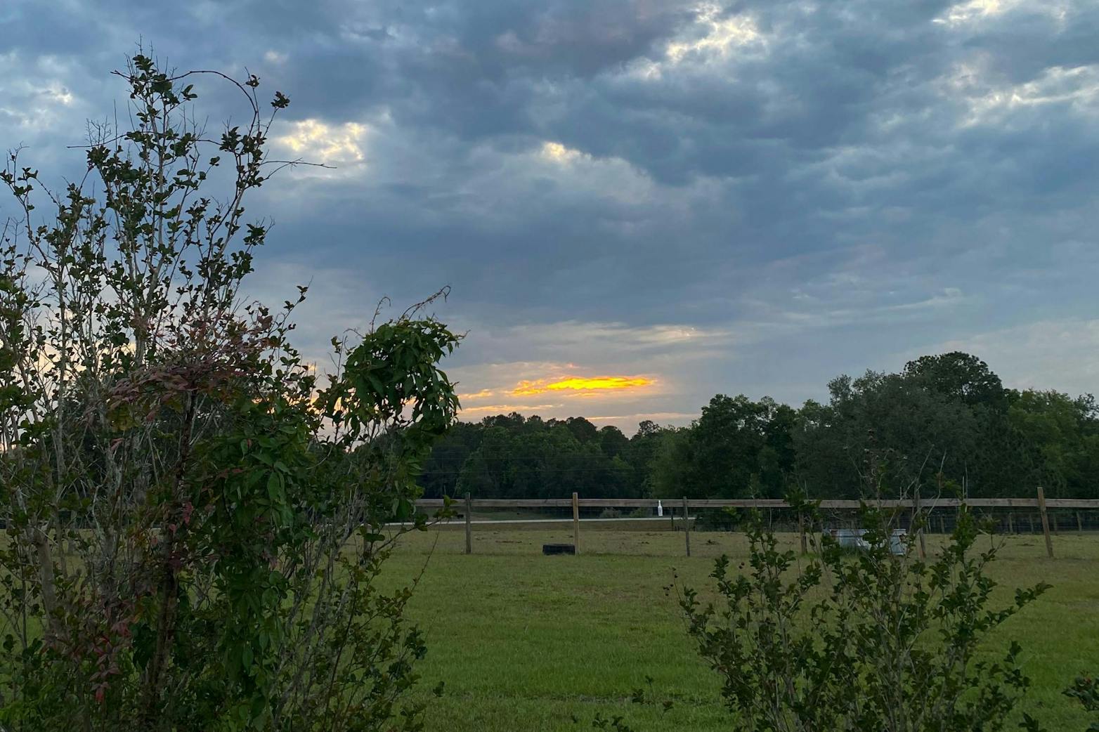 Final Quarantine Photo Essay Jasmine Henry.jpg