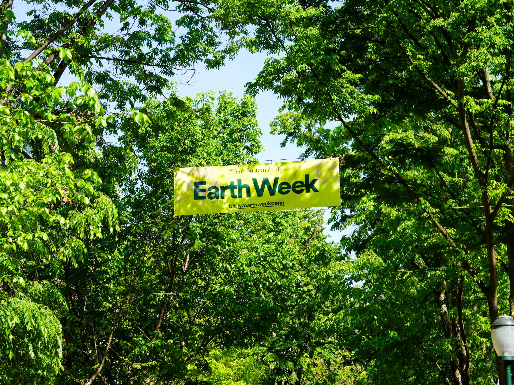 04-23-26 Campus-Earth Week-Wharton (Ebunoluwa Adesida)-1.jpg