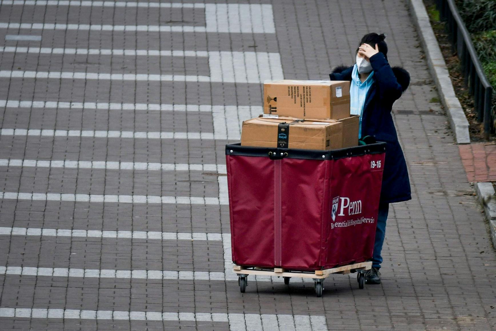 Move in 2021 COVID-19 Pandemic Spring Tense Residential Services Cart Boxes Amazon and Person Edited.jpg