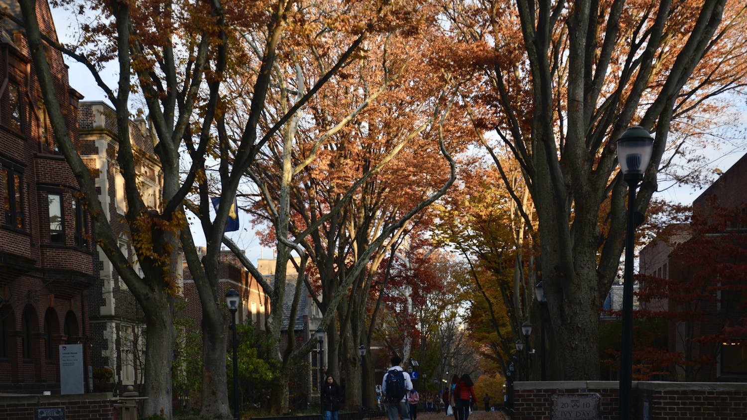 Locust Walk Fall Leaves.jpg