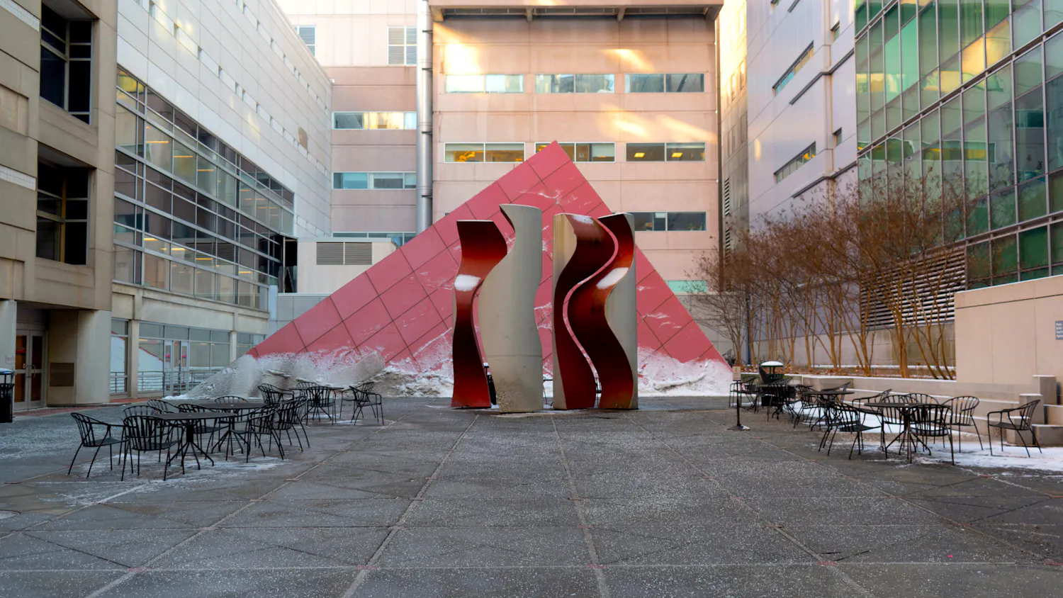 01-20-2025 Perelman School of Medicine (Devansh Raniwala).jpg