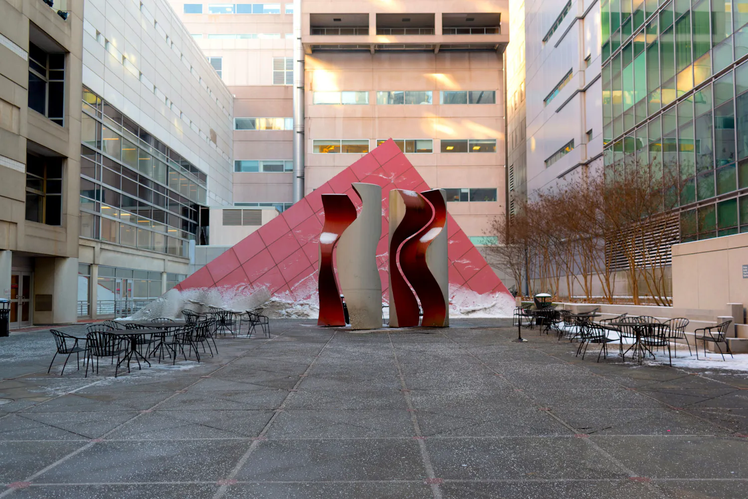 01-20-2025 Perelman School of Medicine (Devansh Raniwala).jpg