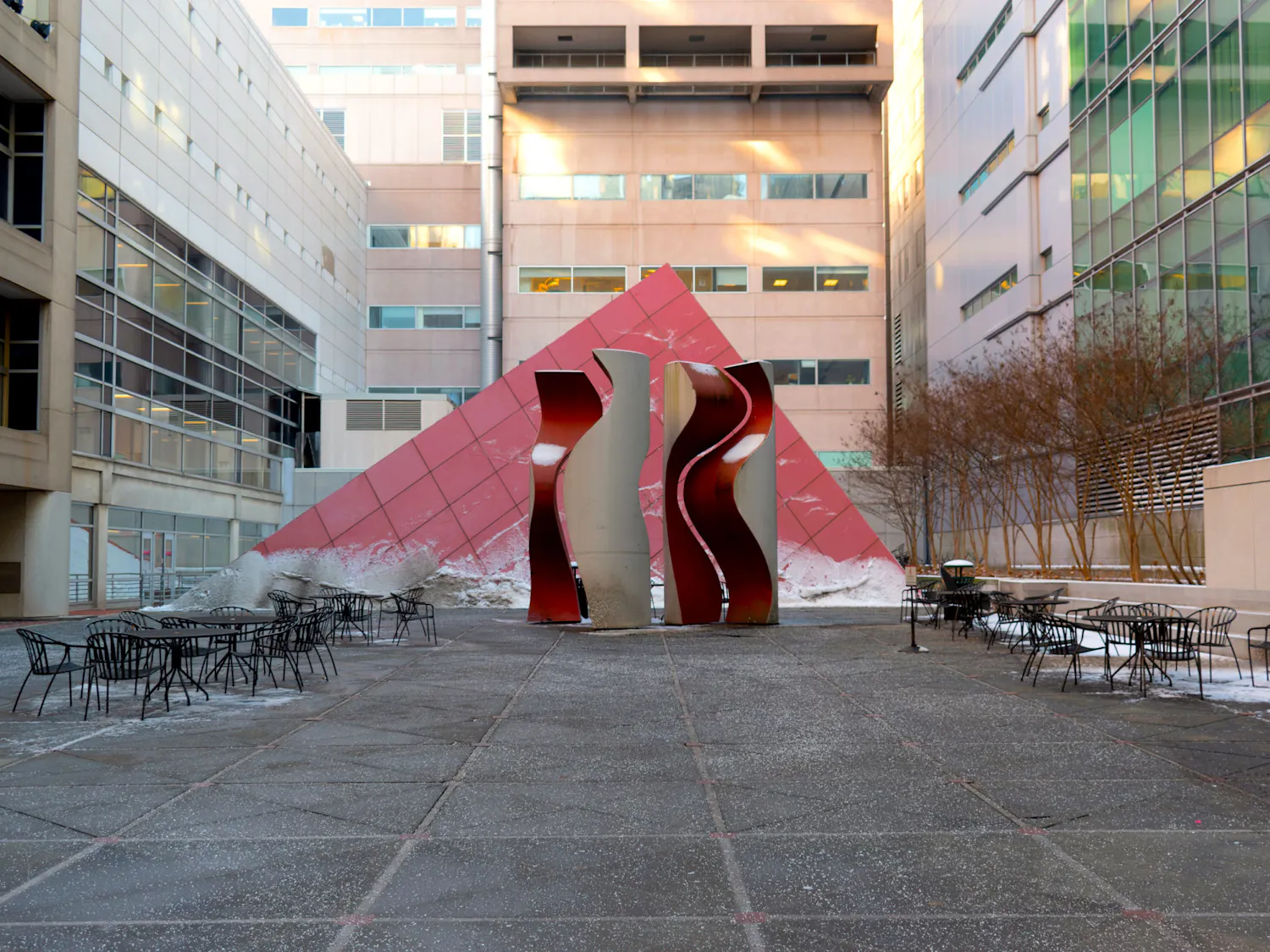 01-20-2025 Perelman School of Medicine (Devansh Raniwala).jpg