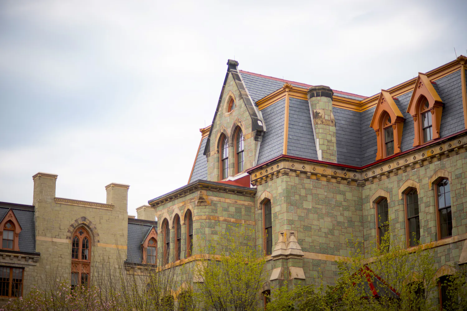 04-15-25 Campus (Chenyao Liu).jpg