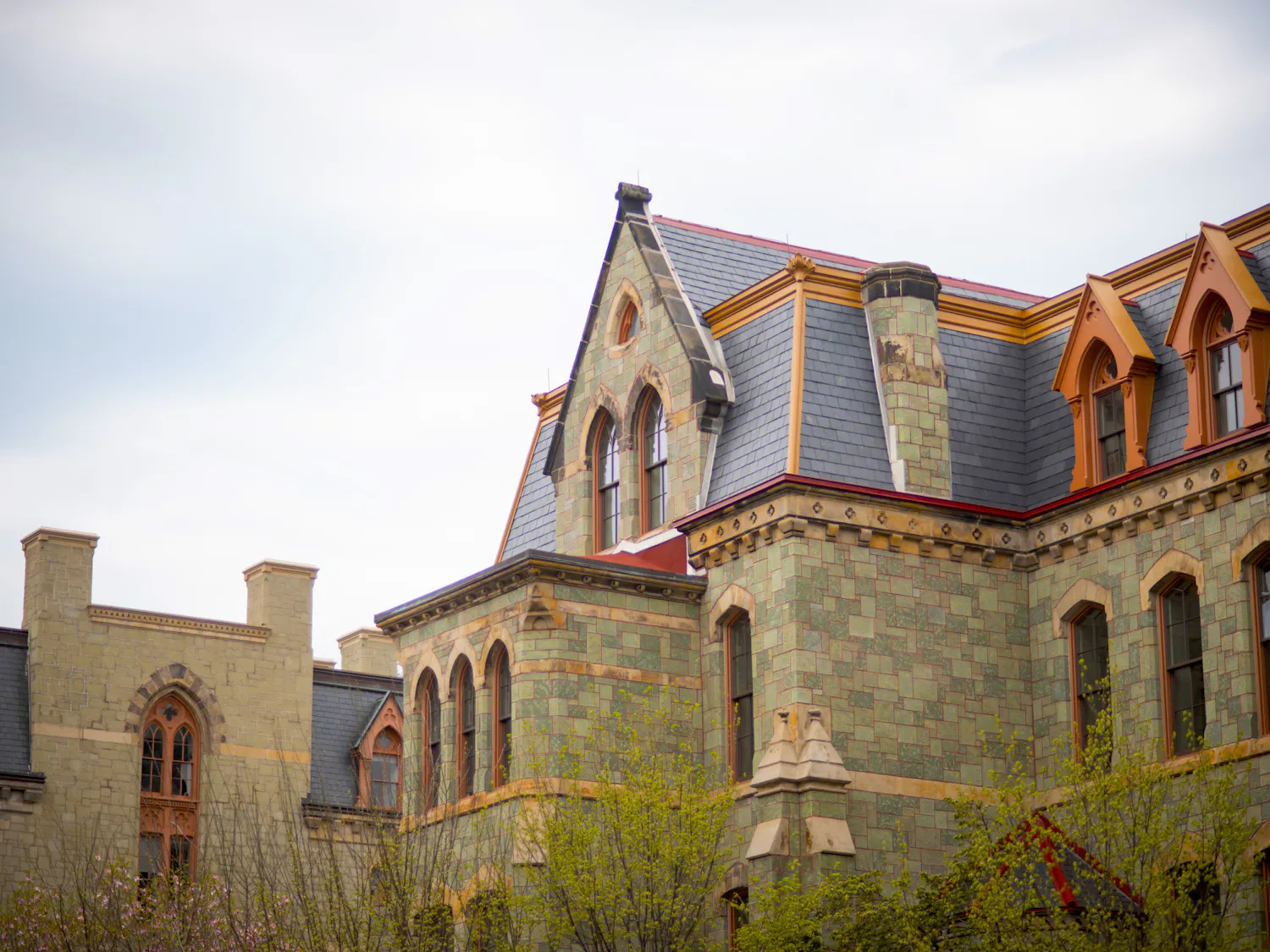 04-15-25 Campus (Chenyao Liu).jpg