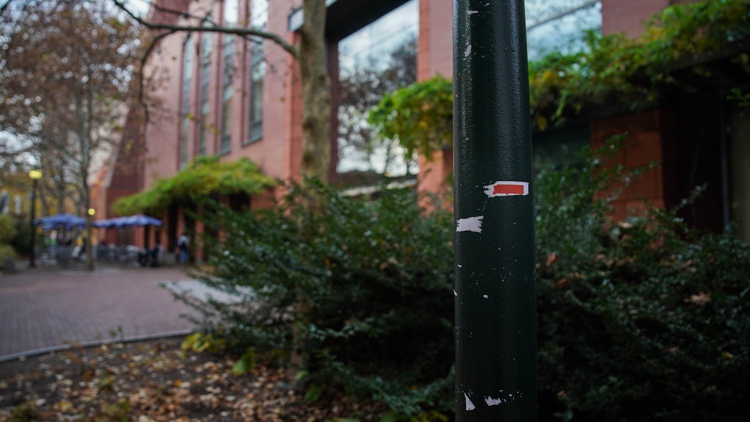 11-17-23 Torn Posters (Anna Vazhaeparambil)-01.jpg