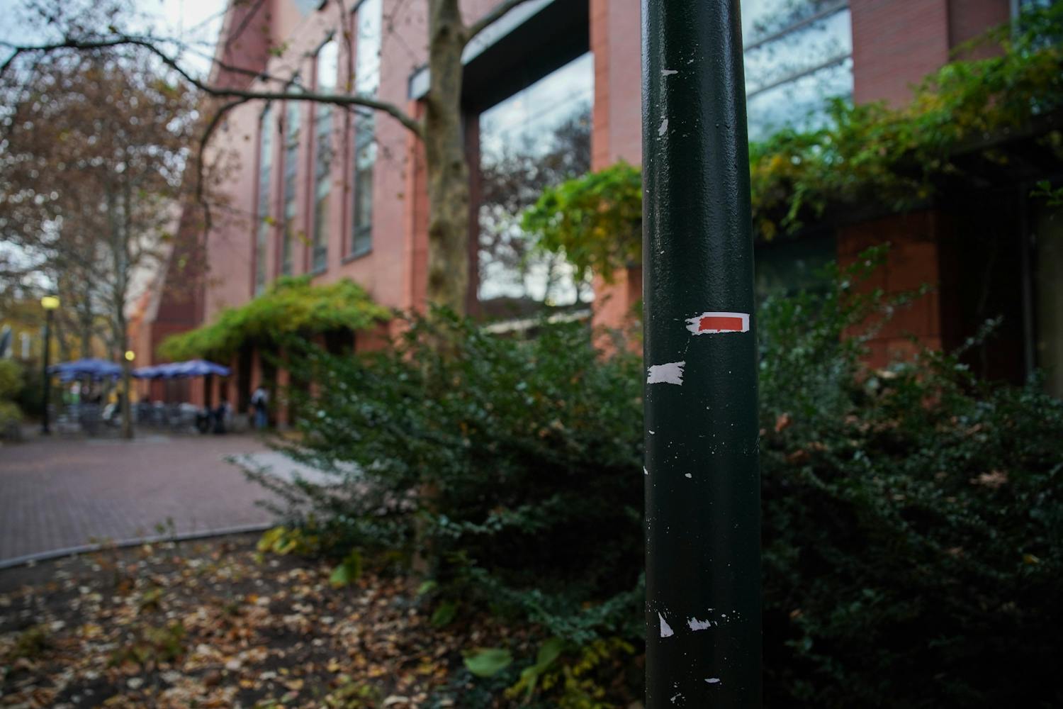 11-17-23 Torn Posters (Anna Vazhaeparambil)-01.jpg