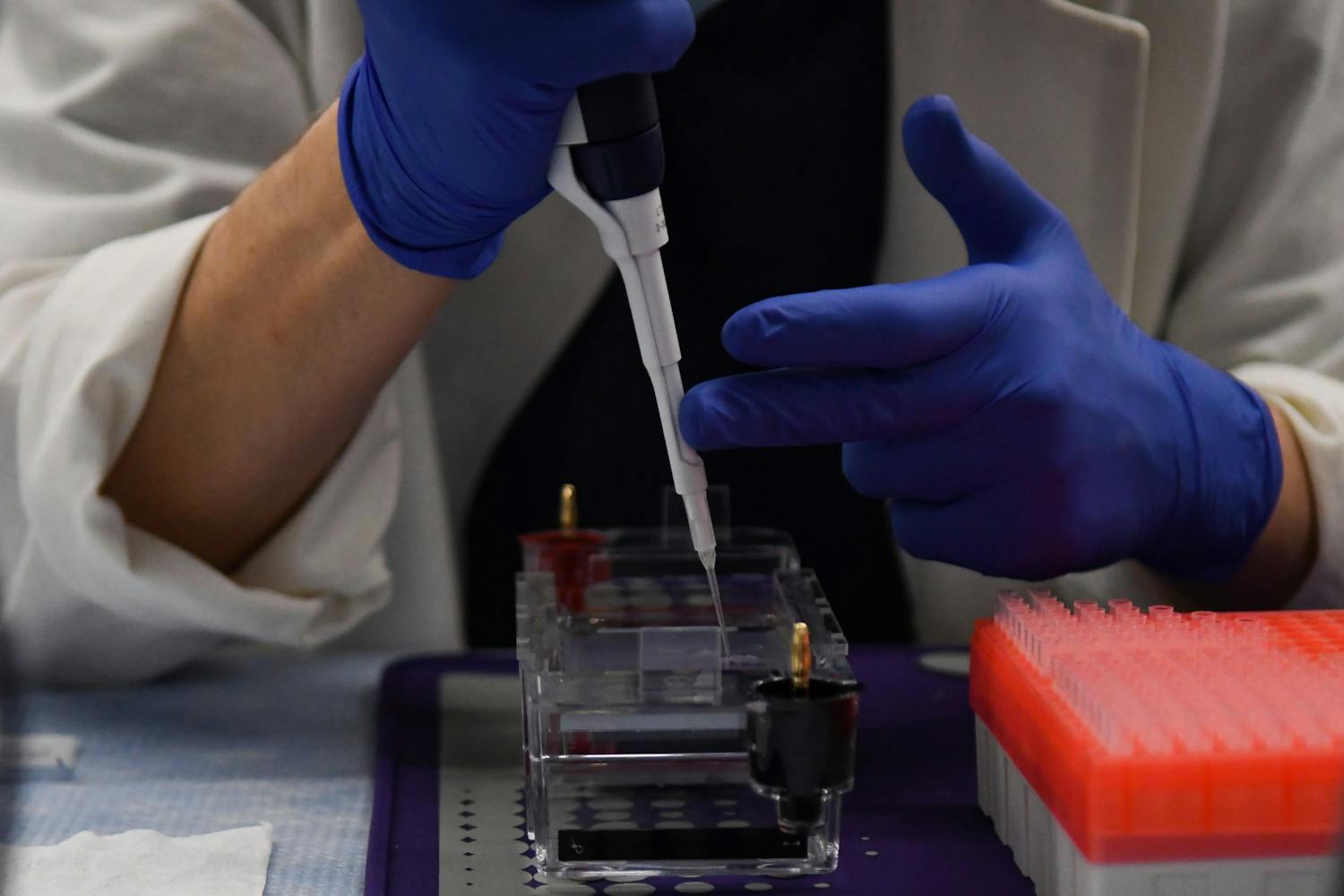 12-17-2020 Drew Weissman Laboratory CRISPR Team Leader Research at Penn Medicine (Sukhmani Kaur)