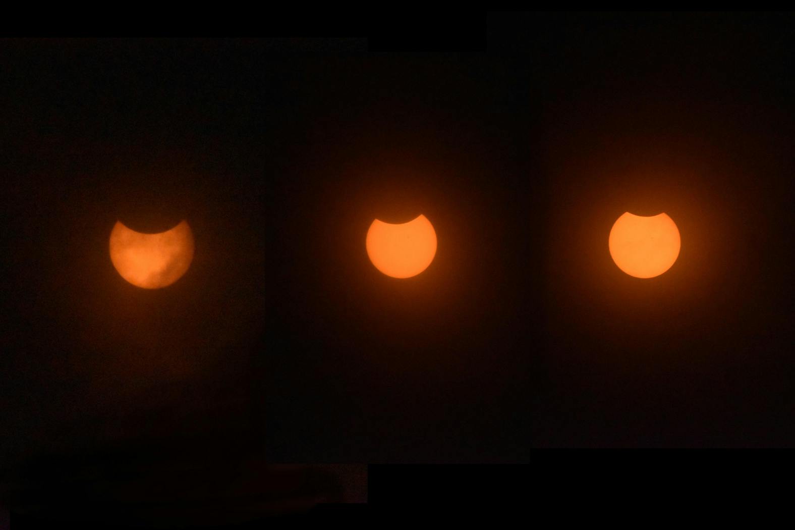 04-07-24 Solar Eclipse Progression (Sydney Curran).jpg