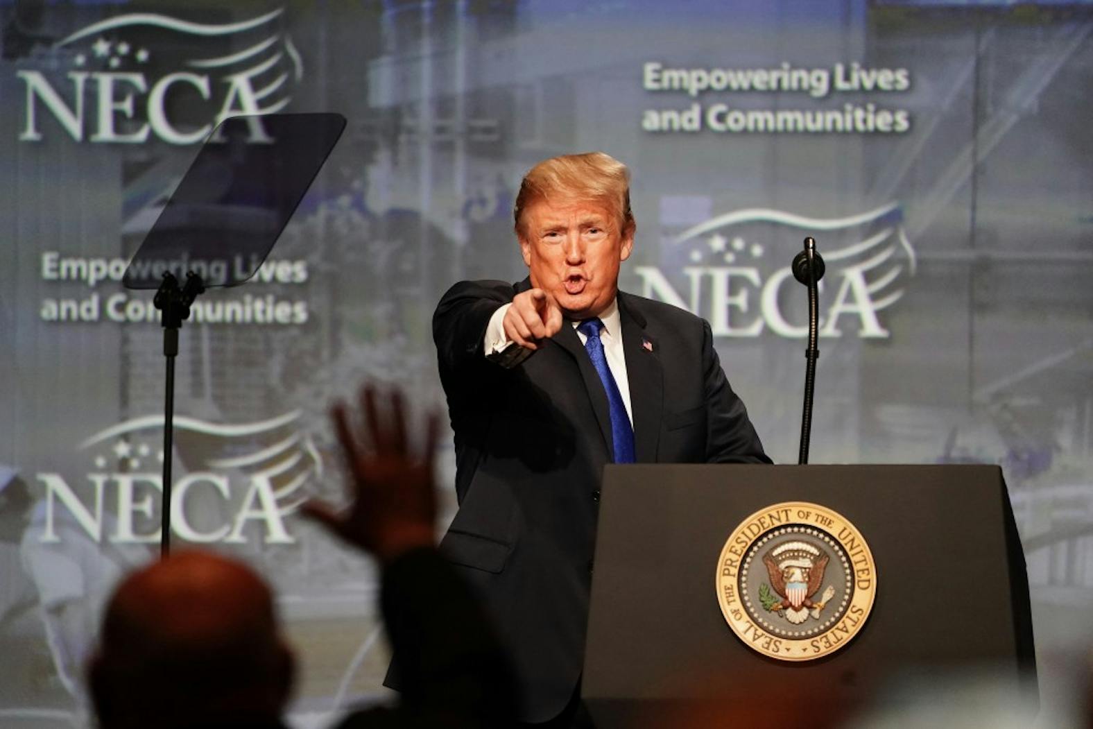 Trump_NECA.jpg