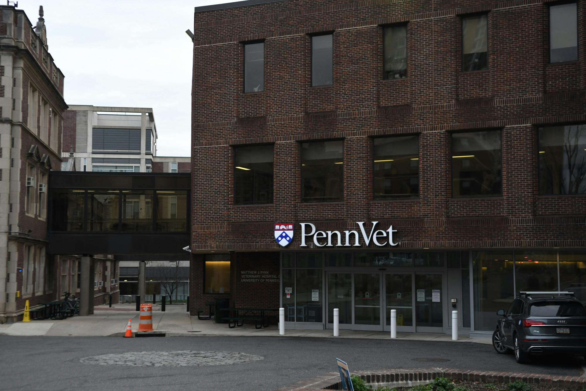 02-11-24 Penn Vet (Carly Zhao).jpg