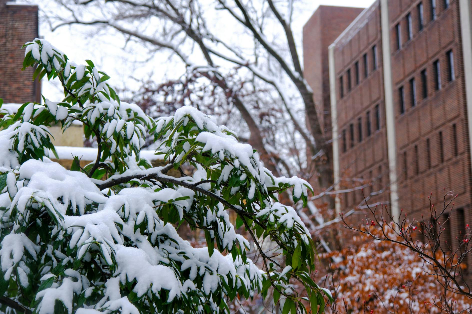 01-16-23 Snow at Penn (Abhiram Juvvadi)-10.jpg