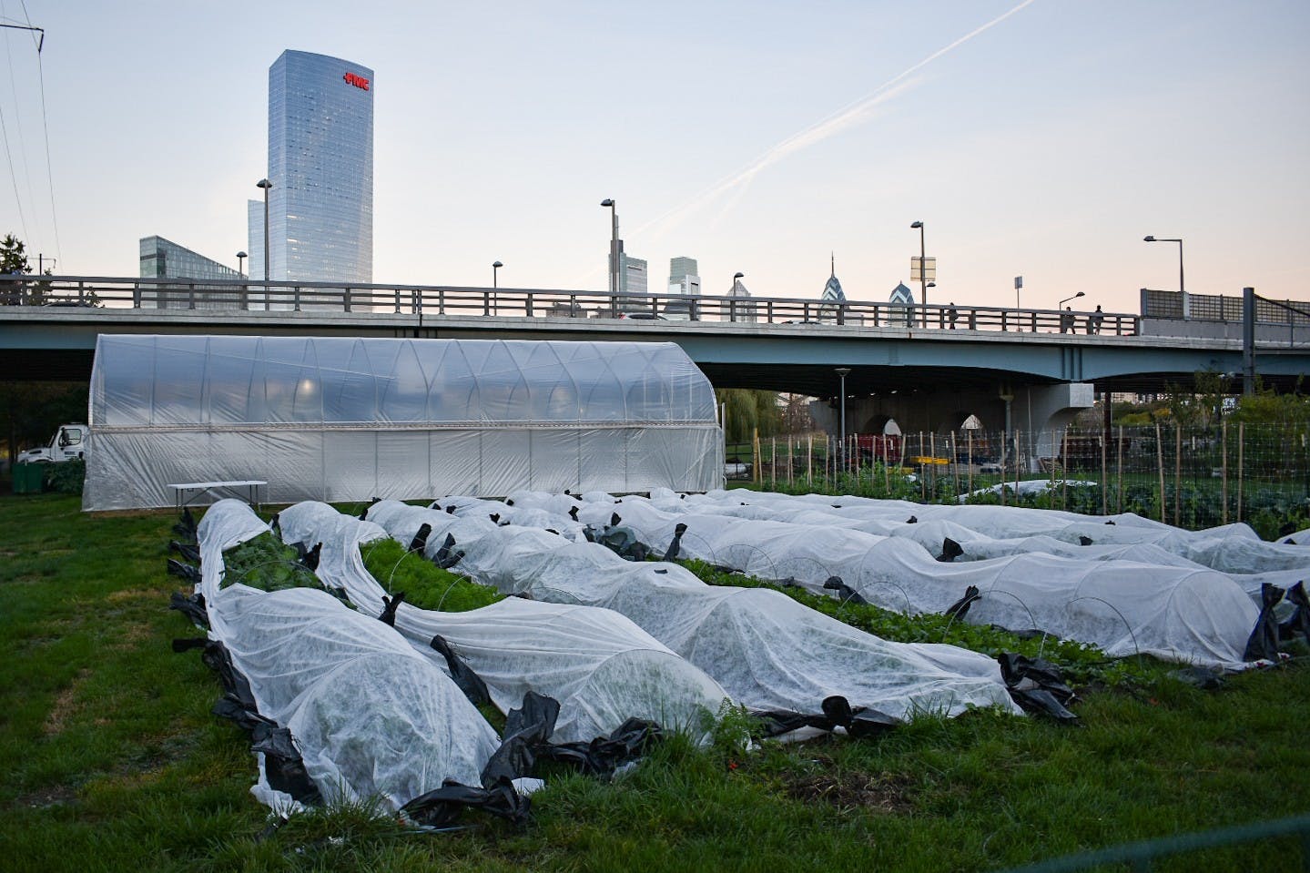 Penn Park Farm 2.JPG