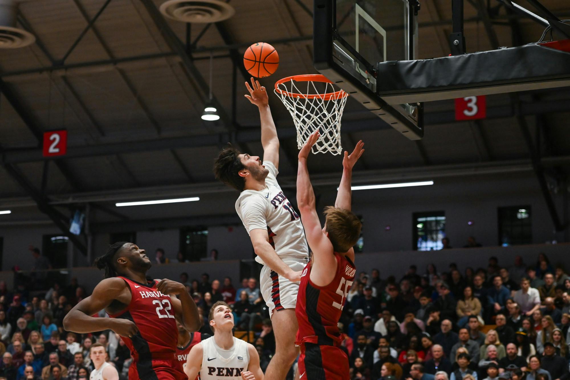 02-24-24 Men's Basketball v Harvard (Nathaniel Sirlin)-1.jpg