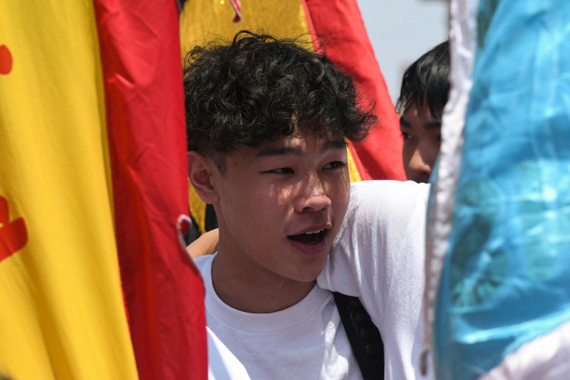 06-10-23 Chinatown Rally Flags (Nathaniel Babitts).jpg