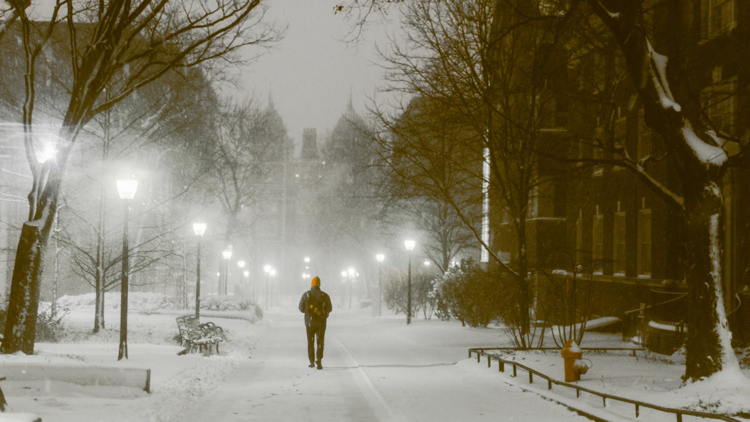 12-17-2020 Winter at Penn (Max Mester).jpg