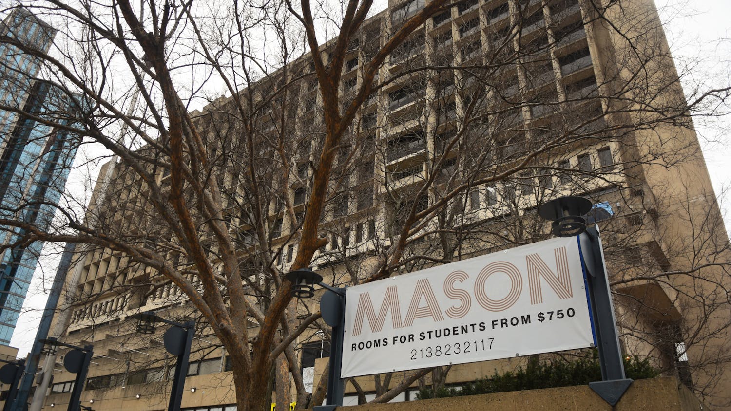 02-25-23 Mason on Chestnut (Anastasia Russell).jpg