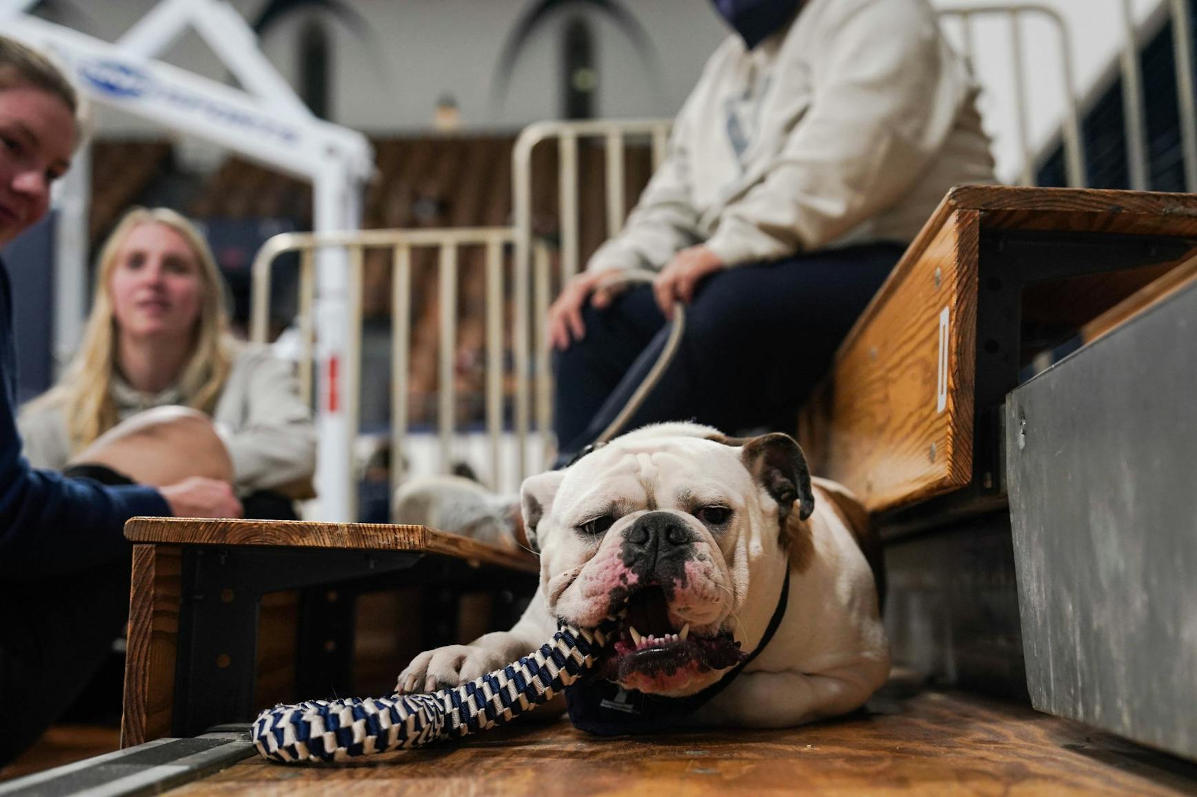 02-17-23 Women's Basketball vs Yale Mascot (Anna Vazhaeparambil)-01.jpg