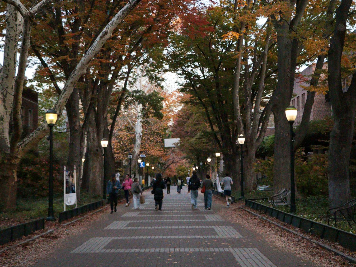 11-02-25 Locust (Caitlin Tai).jpg