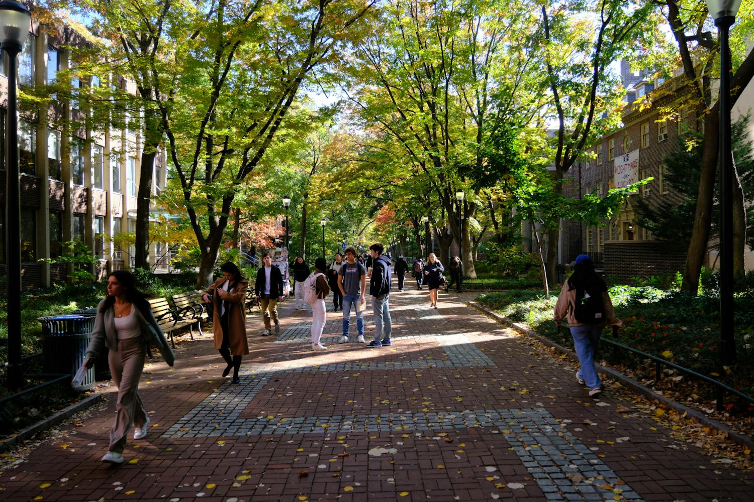 10-25-23 Fall Locust (Abhiram Juvvadi).jpg