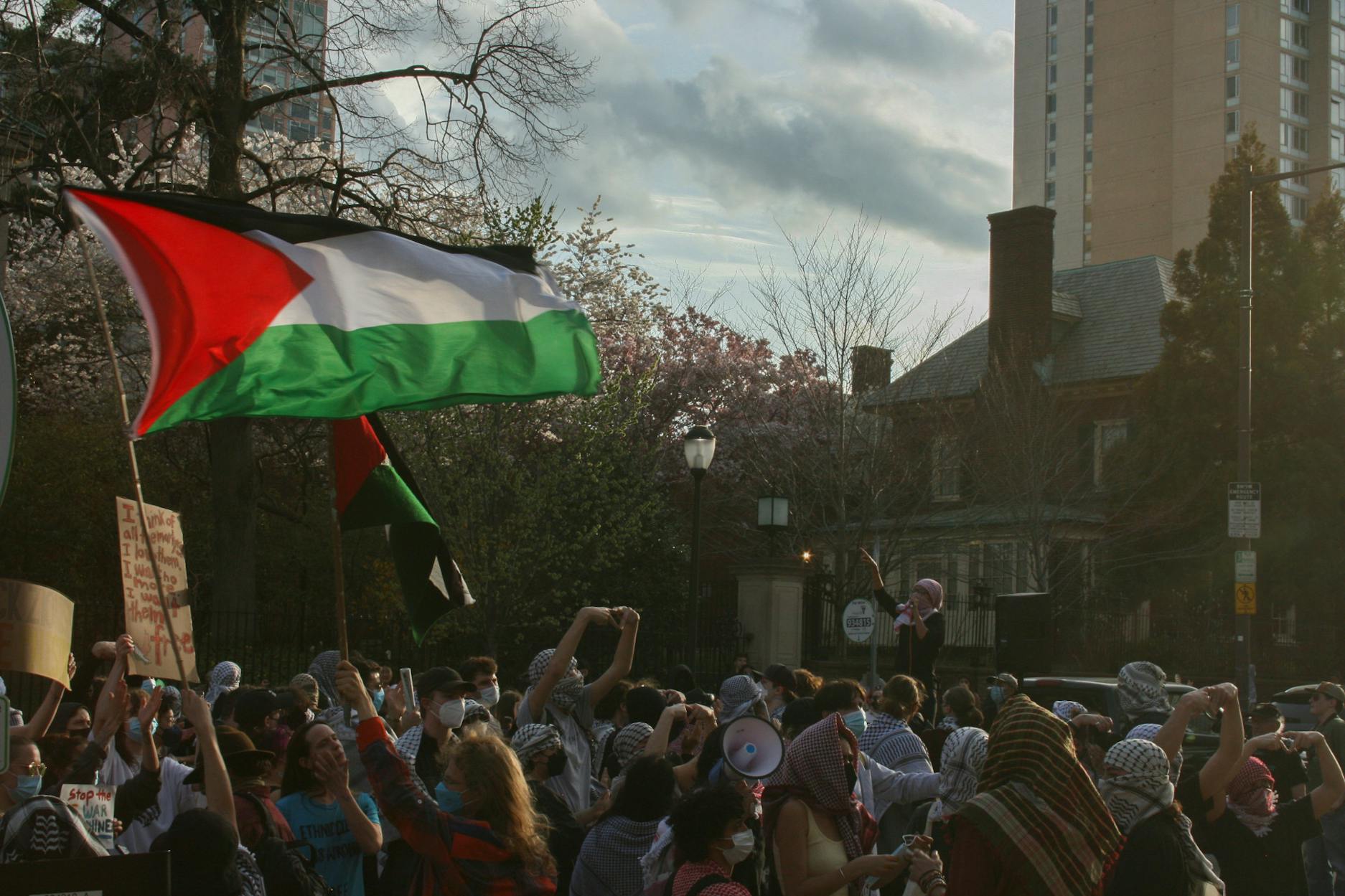 03-31-25 Palestine Demonstration (Hans Bode).jpg