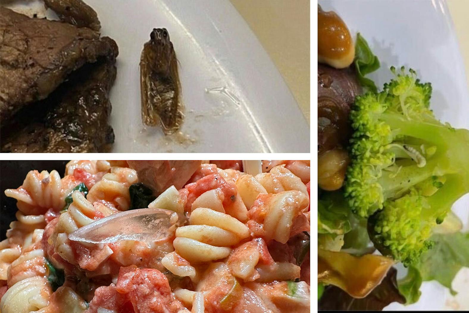 Dining Halls (Photos from Alison Yau, Sidechat, and Jamie Kim).jpg